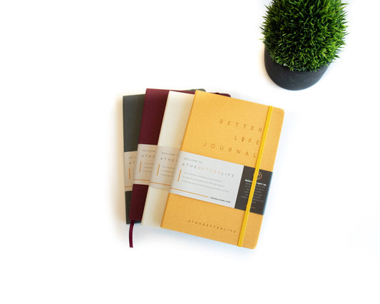 Productivity Pack (All Four BL Journals)