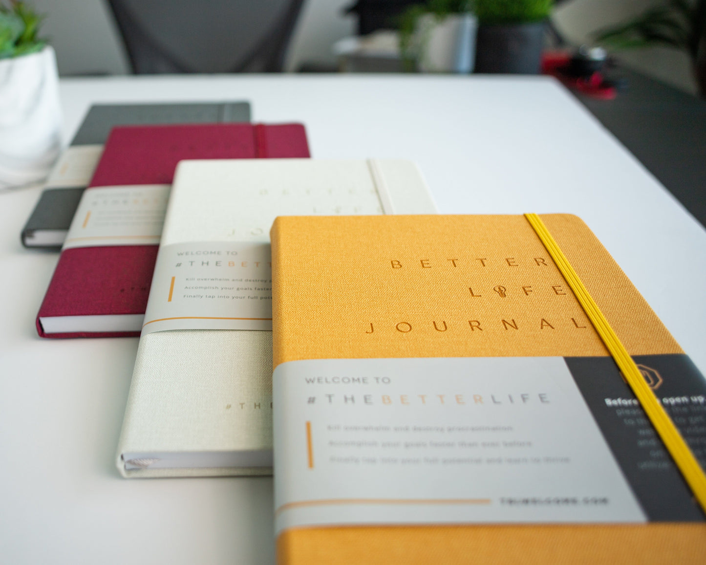 Productivity Pack (All Four BL Journals)